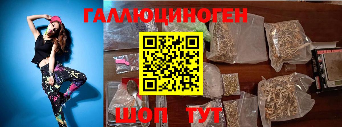 Курчалой  Псилоцибиновые грибы мухоморы  Псилоцибиновые грибы ЛСД  Вход с VPN 