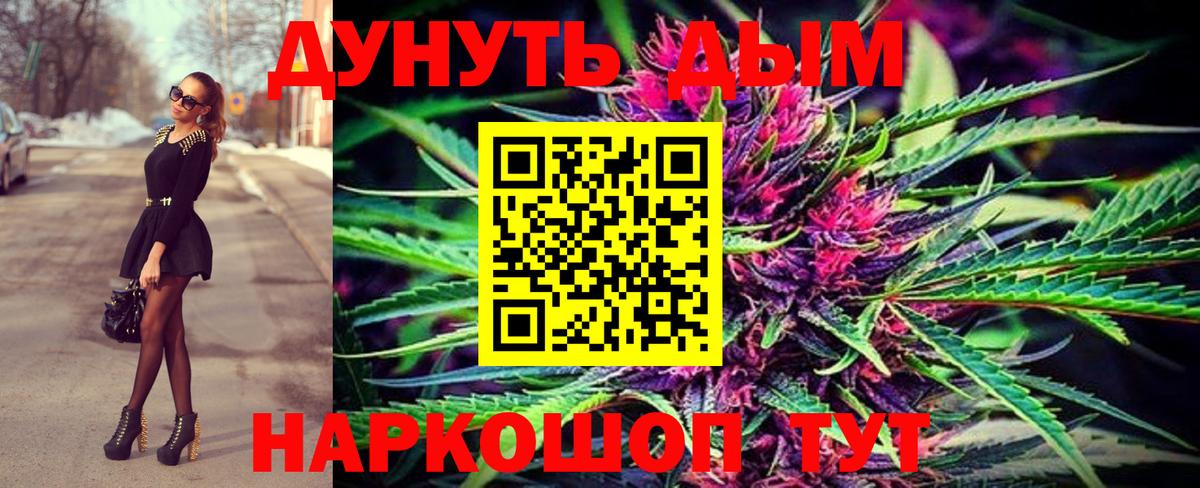 Шишки марихуана OG Kush Курчалой
